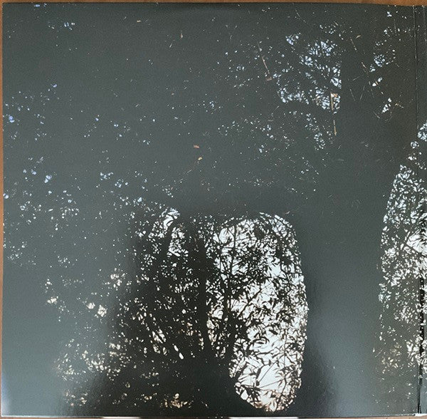 Leif Vollebekk - Revelation (VINYL) | Mint (M) Mint (M)-Music History