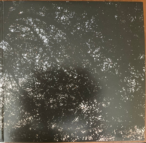 Leif Vollebekk - Revelation (VINYL) | Mint (M) Mint (M)-Music History