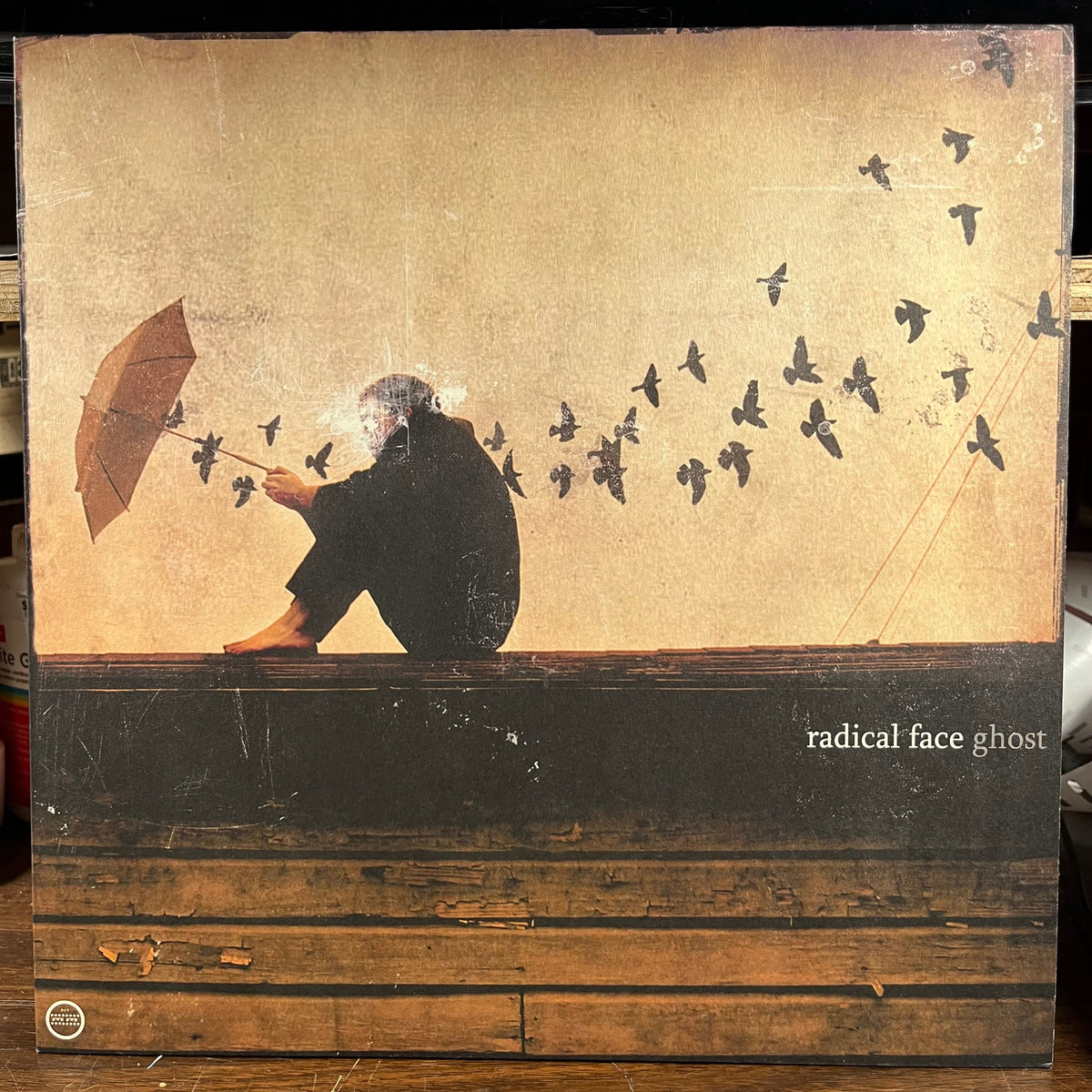 Radical Face - Ghost (VINYL) | Near Mint (NM) Near Mint (NM)-Music History