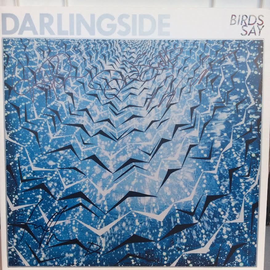 Darlingside - Birds Say (2xVINYL) | Near Mint (NM) Near Mint (NM)-Music History