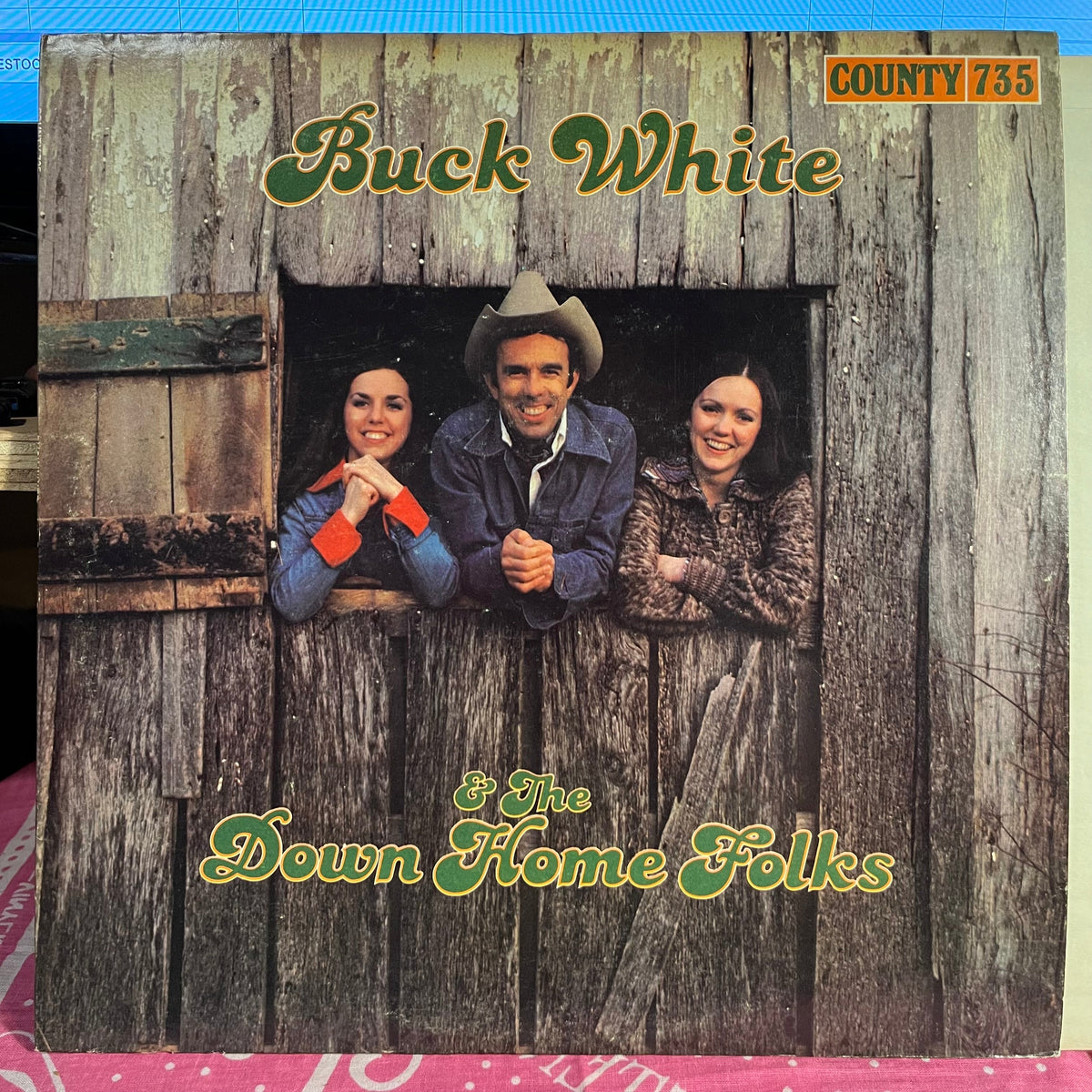 Buck White & The Down Home Folks - Buck White & The Down Home Folks | Near Mint (NM) Excellent (EX)-Music History