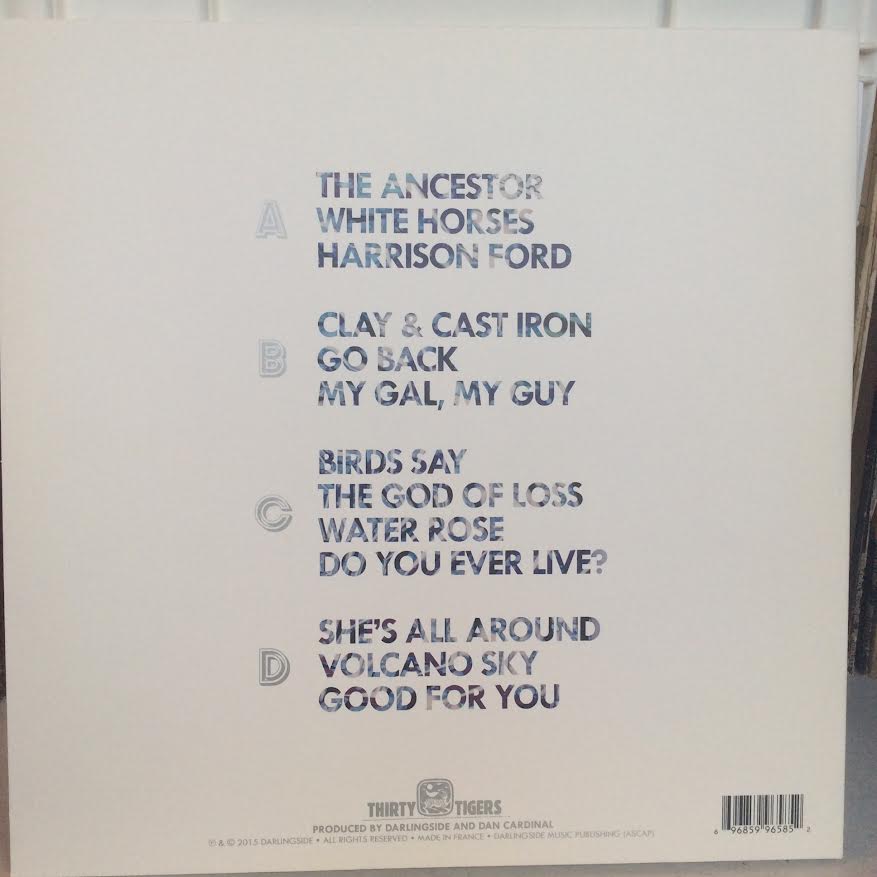 Darlingside - Birds Say (2xVINYL) | Near Mint (NM) Near Mint (NM)-Music History