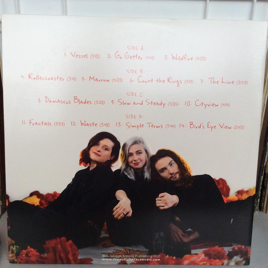 The Accidentals (4) - Vessel (2xVINYL) | Near Mint (NM) Near Mint (NM)-Music History