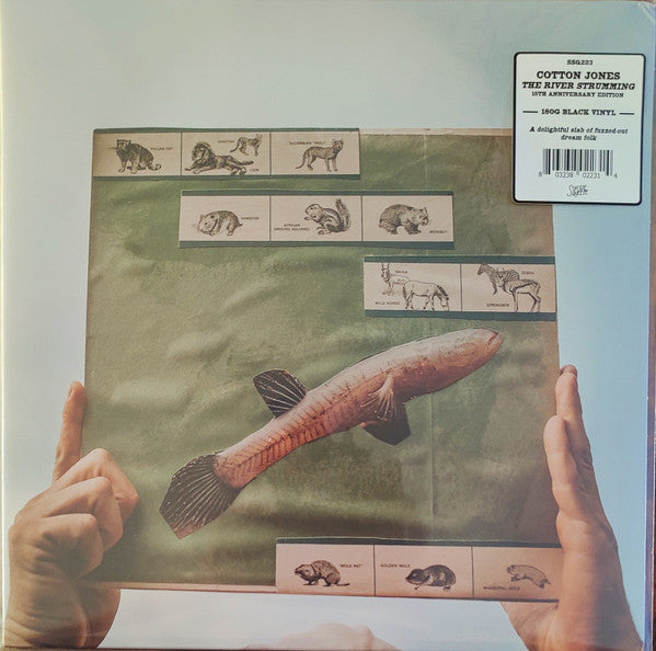 Cotton Jones - The River Strumming | Mint (M) Mint (M)-Music History