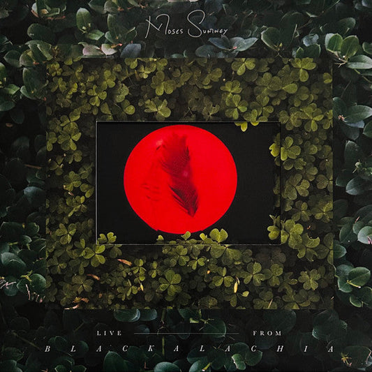 Moses Sumney - Live From Blackalachia | Mint (M) Mint (M)-Music History