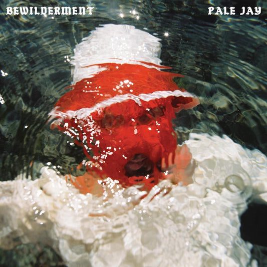 Pale Jay - Bewilderment (SEAFOAM GREEN VINYL) | Mint (M) Mint (M)-Music History