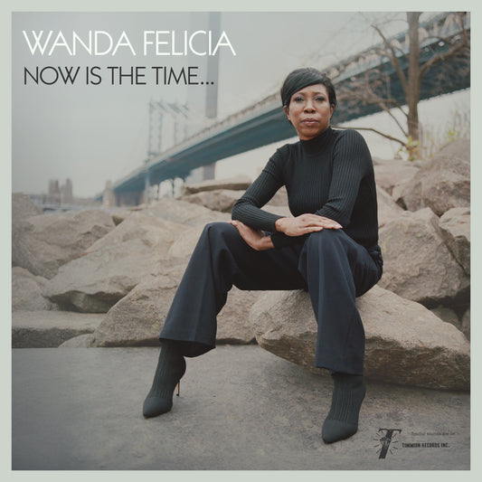 Wanda Felicia & Cold Diamond & Mink - Now Is The Time (VINYL) | Mint (M) Mint (M)-Music History