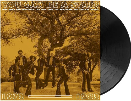 Various Aerists - You Can Be A Star!: Deep Disco & Crossover 70s Soul From The Now-Again & Soul-Cal Vaults 1972-1982 (VINYL) |-Music History