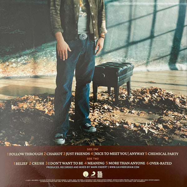 Gavin DeGraw - Chariot (LTD BLUE VINYL) | Mint (M) Mint (M)-Music History