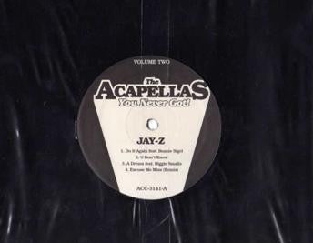 Jay-Z - The Acapellas You Never Got! Volume Two (12" VINYL) | Near Mint (NM) Generic-Music History