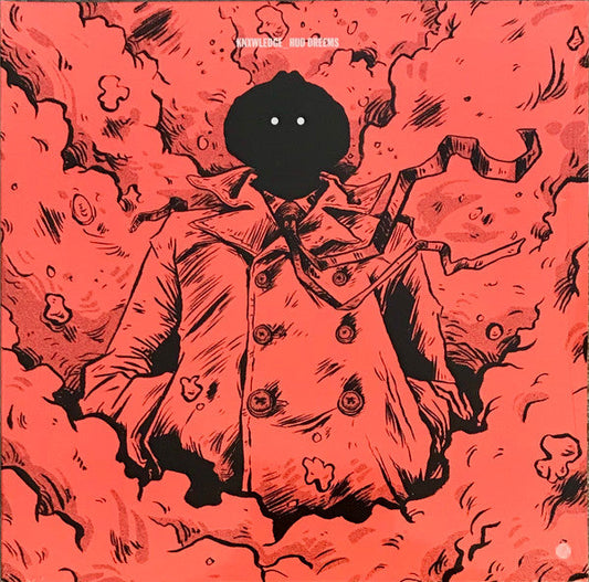 knxwledge - Hud Dreems (2LP) | Mint (M) Mint (M)-Music History