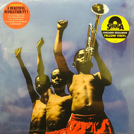 A Beautiful Revolution (Pt 1)(YELLOW VINYL) | Mint (M) Mint (M)-Music History