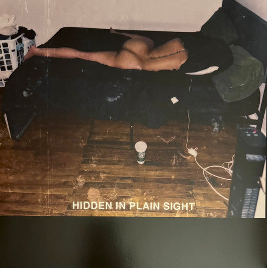 Hidden In Plain Sight (VINYL) | Mint (M) Mint (M)-Music History