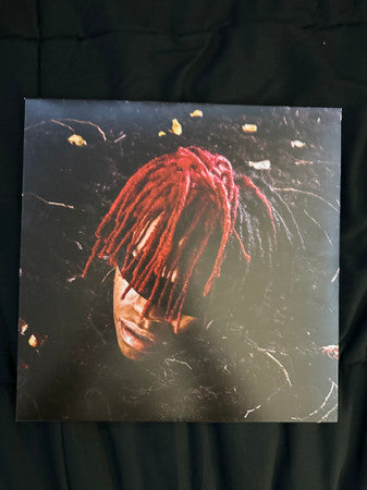 DC The Don - Funeral (VINYL) | Mint (M) Mint (M)-Music History