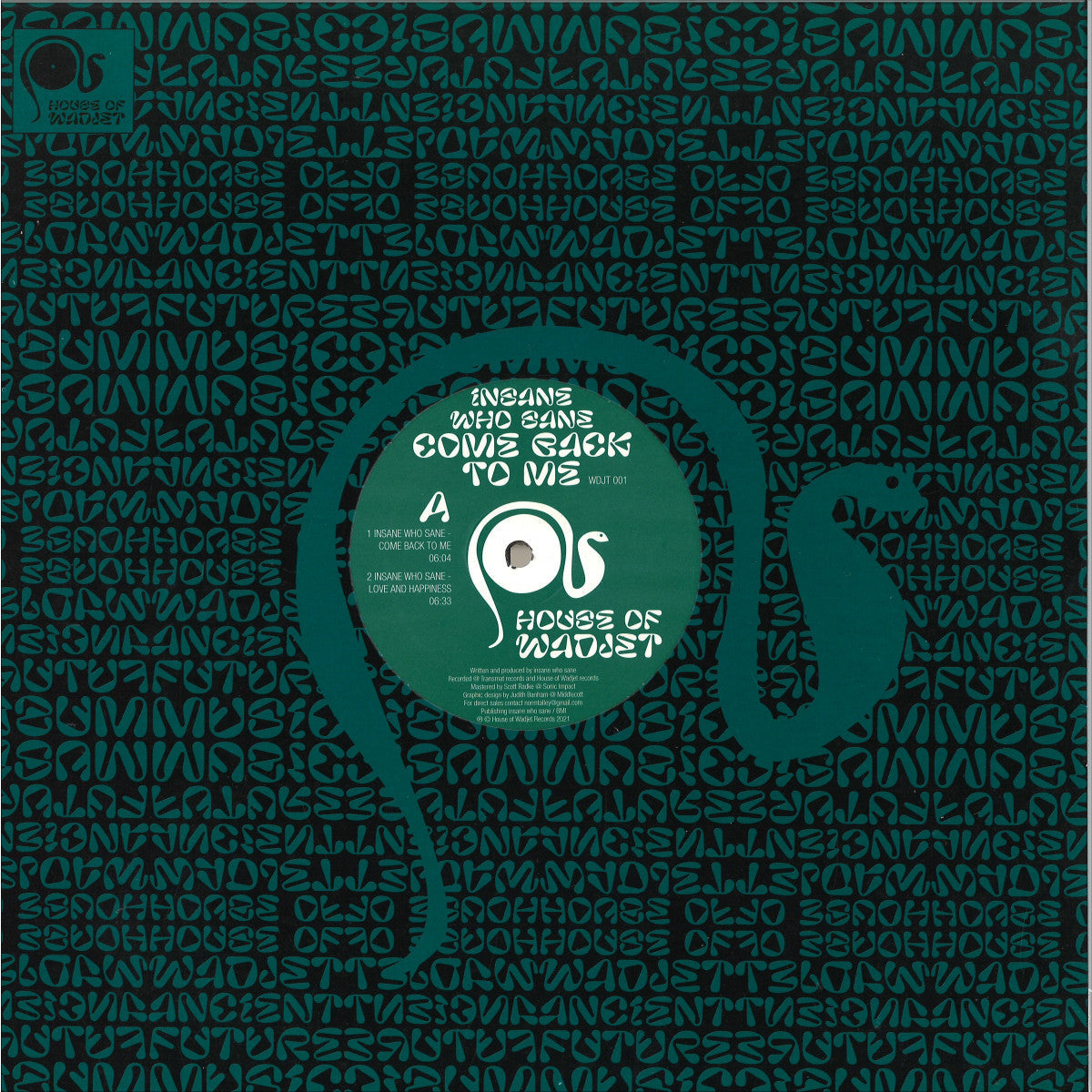 Insane Who Sane - (PRESALE TBD) Come Back To Me (VINYL 12" House Of Wadjet WDJT001 2026) | NEW-Music History