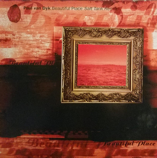 Paul van Dyk - Beautiful Place (Salt Tank Remix) | Near Mint (NM) Excellent (EX)-Music History