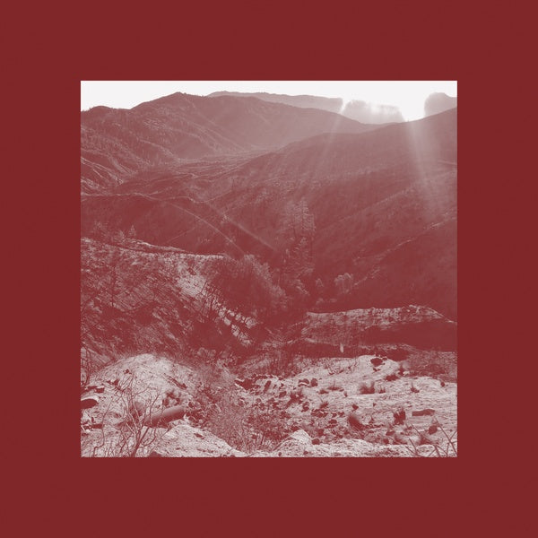 IAN WELLMAN - On The Darkest Day, You Took My Hand And Swore It Will Be Okay |-Music History