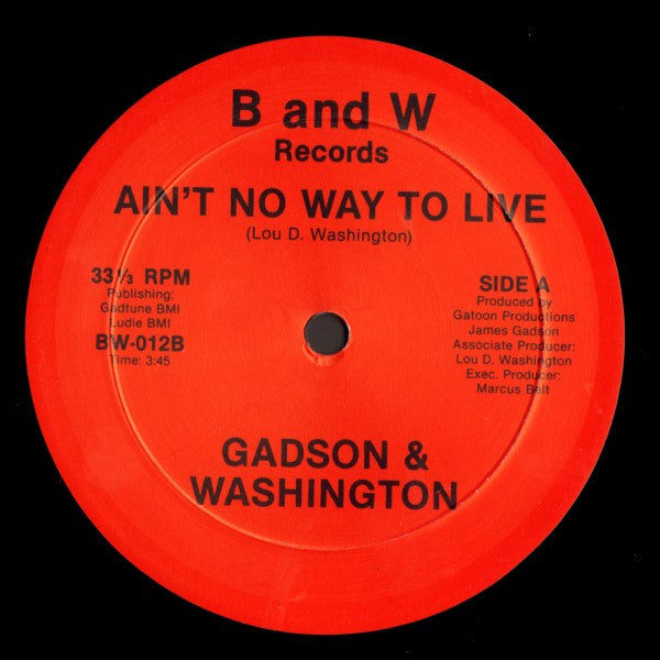 James Gadson & Lou Washington / Lou Washington - Ain't No Way To Live / Indian Village | Mint (M) Generic-Music History