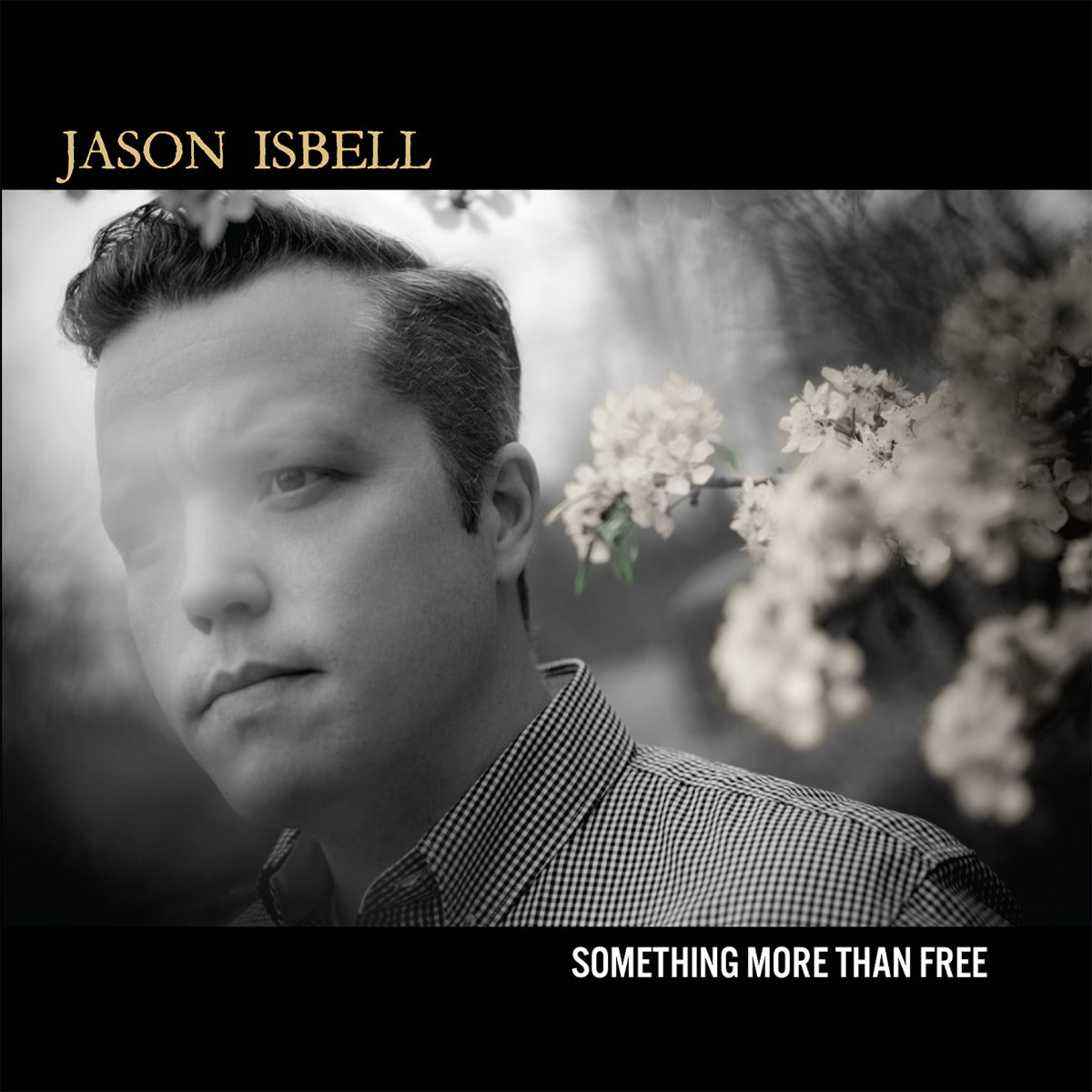 Jason Isbell - Something More Than Free (10 Year Anniversary IEX BLUE 2xVINYL) | Mint (M) Mint (M)-Music History