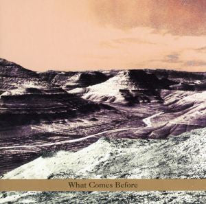 Goldberg / Schott / Sarin Trio - What Comes Before (CD) | Mint (M) Mint (M)-Music History