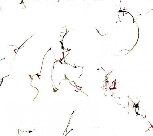 Various Artists - Winged Serpents - Encomiums For Cecil Taylor (CD) |-Music History