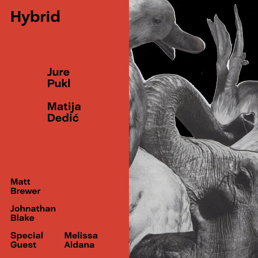 Pukl, Jure & Matija Dedic - Hybrid (CD) | Mint (M) Mint (M)-Music History