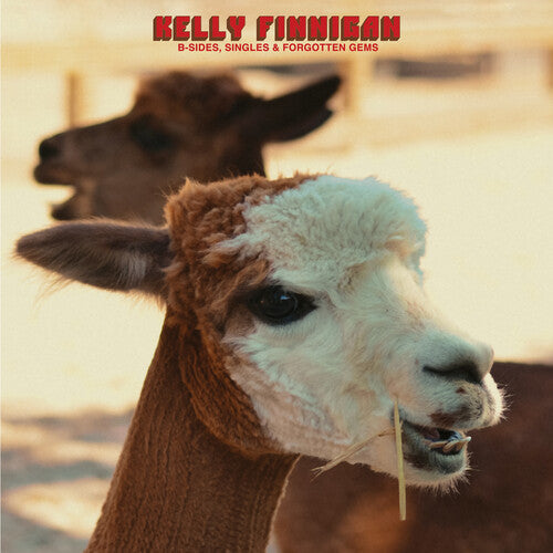 Kelly Finnigan - (PRESALE 8/14/26) B-Sides, Singles & Forgotten Gems (VINYL LP COLEMINE 2026) | NEW-Music History