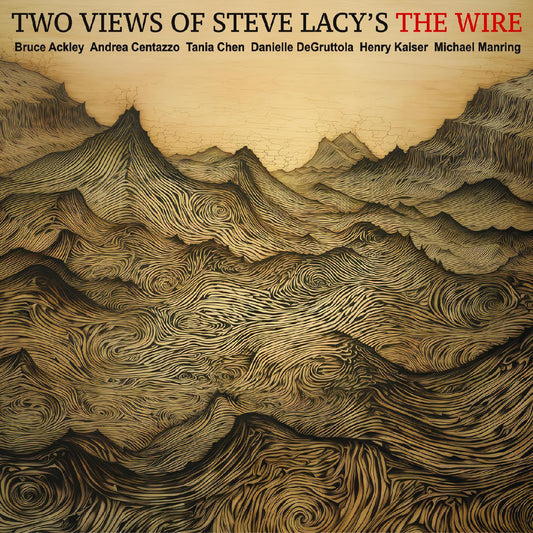 Ackley-Chen-Centazzo-DeGruttola-Kaiser-Manring - TWO VIEWS OF STEVE LACYS THE WIRE (CD) |-Music History