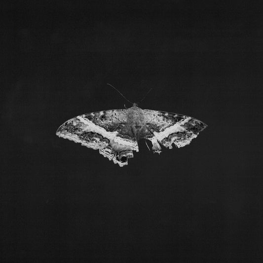 Kendrick Lamar - To Pimp A Butterfly (10 Year Anniversary Edition) - Alternate Artwork (180g 2xVINYL) | Mint (M) Mint (M)-Music History