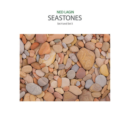 Lagin, Ned - Seastones: Set 4 and Set 5 | RSD DROP |-Music History