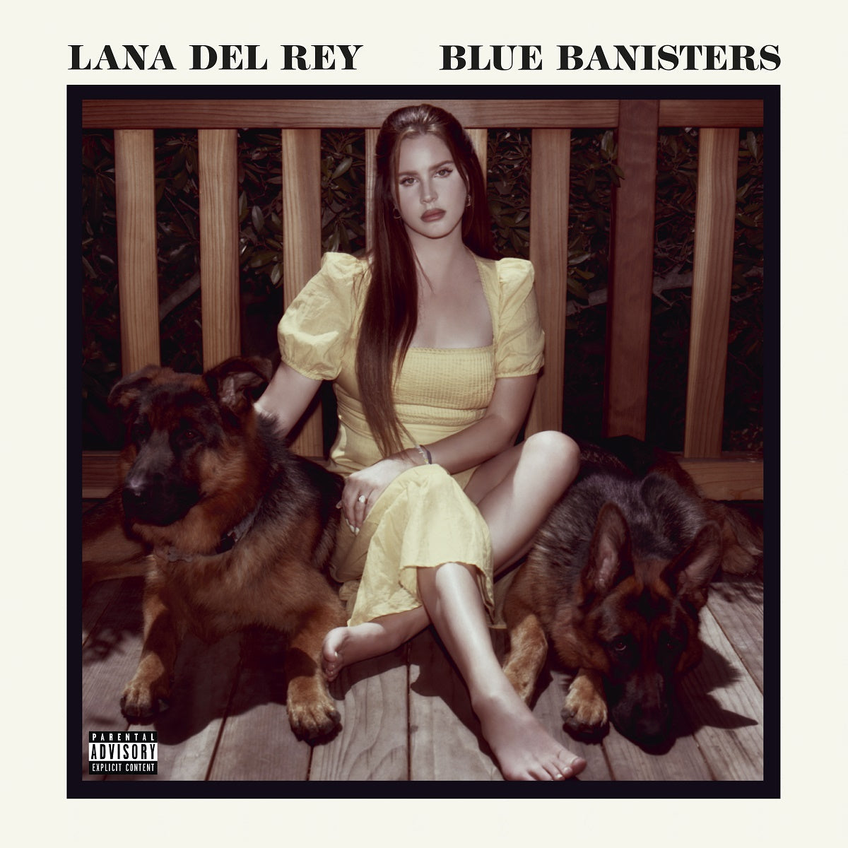 Lana Del Rey - Blue Banisters (CD) | Mint (M) Mint (M)-Music History