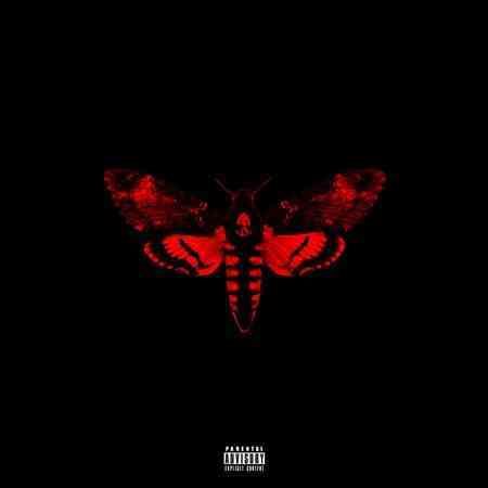 Lil Wayne - I Am Not A Human Being II (CD) | Mint (M) Mint (M)-Music History