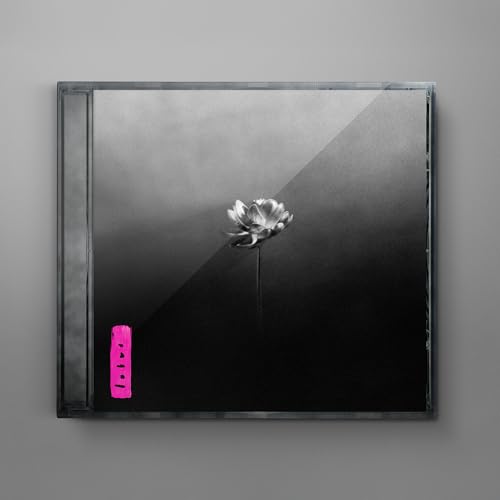 Little Simz - Lotus |-Music History