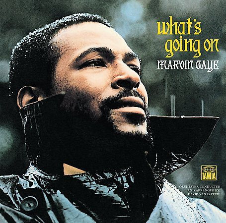 Marvin Gaye - What's Going on (180 Gram Vinyl, Reissue) | Mint (M) Mint (M)-Music History