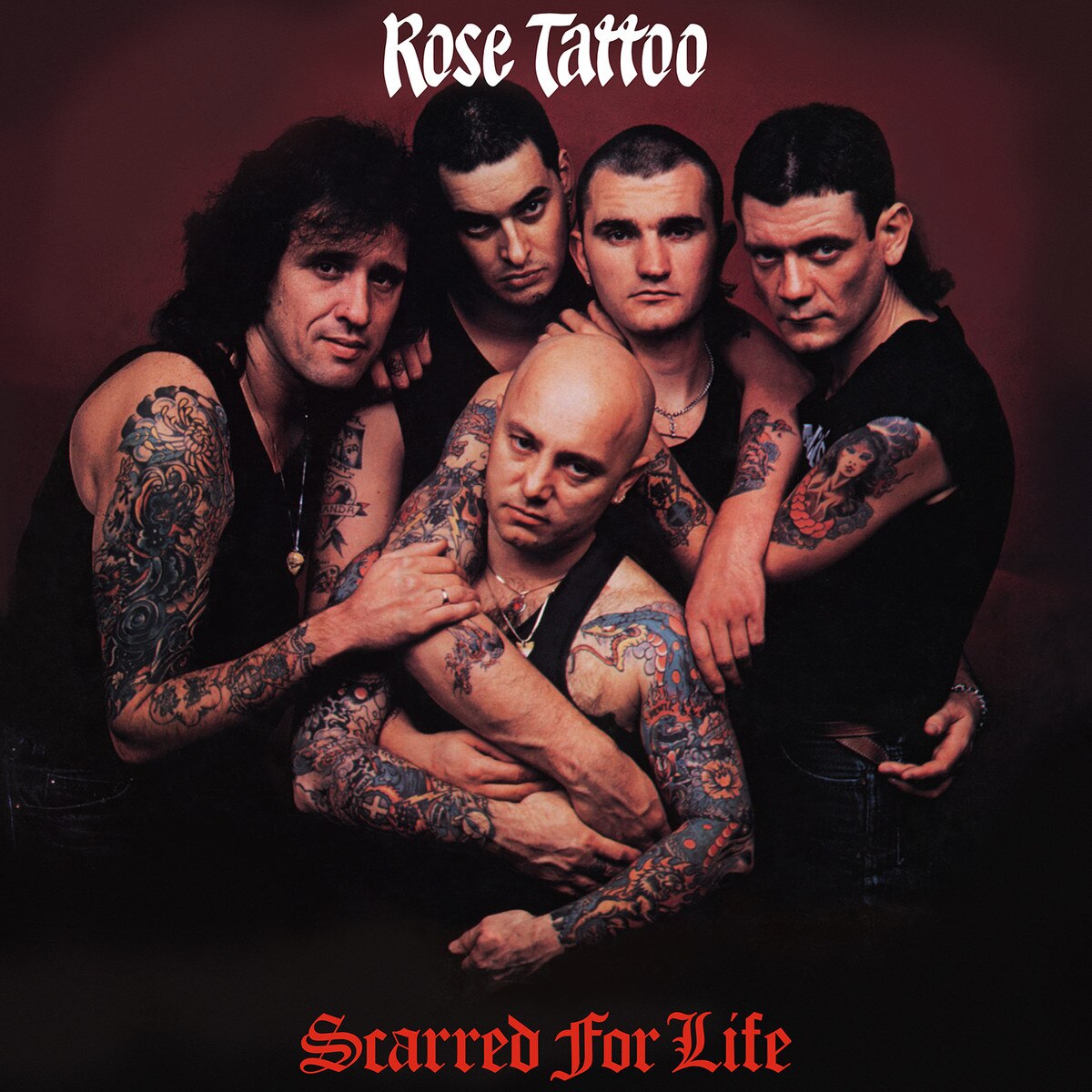Rose Tattoo - Scarred For Life (140G MOV RED WHITE SWIRLED VINYL) | Mint (M) Mint (M)-Music History