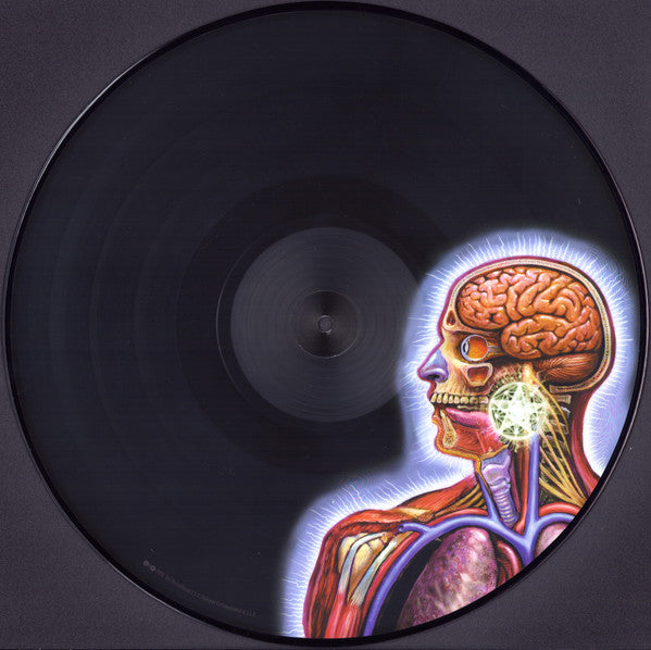 Tool (2) - Lateralus | Mint (M) Mint (M)-Music History