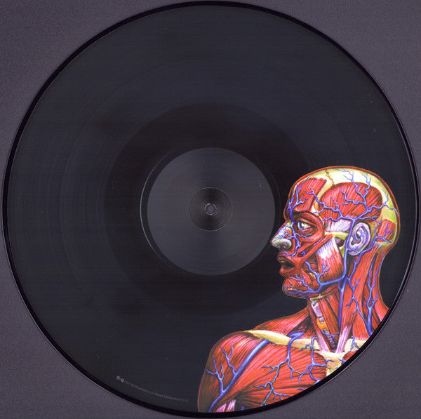 Tool (2) - Lateralus | Mint (M) Mint (M)-Music History