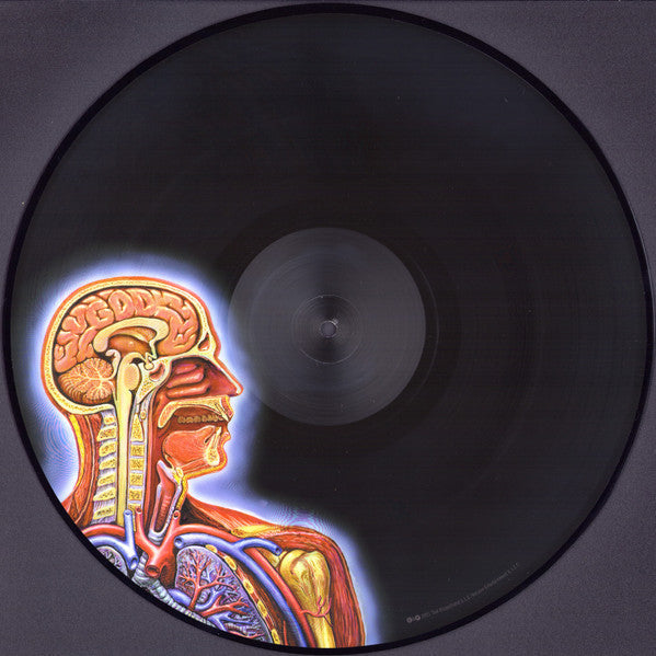 Tool (2) - Lateralus | Mint (M) Mint (M)-Music History