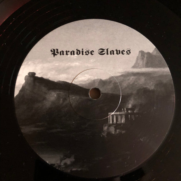 Drowning The Light - Tenth Region Of The Night & Paradise Slaves (VINYL) | Near Mint (NM or M-) Near Mint (NM)-Music History