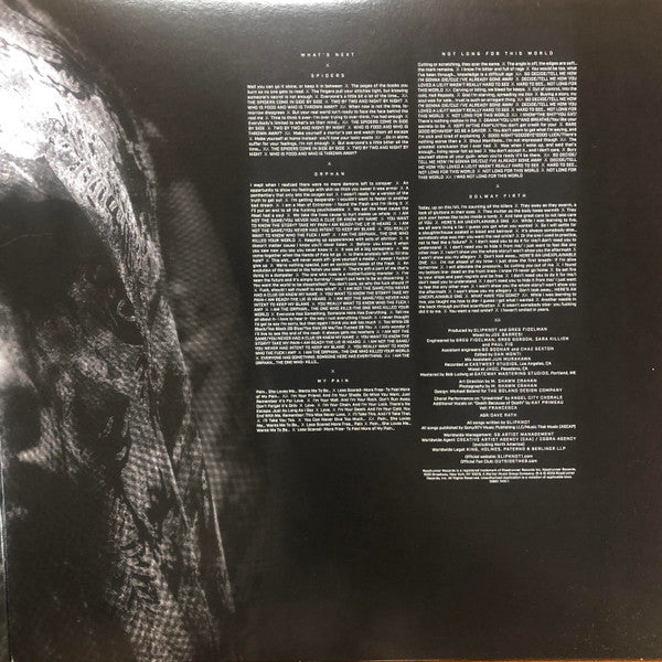 Slipknot - We Are Not Your Kind (VINYL 2LP) | Near Mint (NM or M-) Near Mint (NM)-Music History
