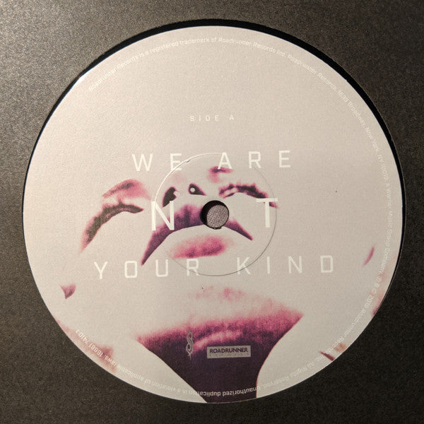 Slipknot - We Are Not Your Kind (VINYL 2LP) | Near Mint (NM or M-) Near Mint (NM)-Music History