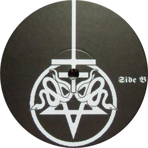 Drowning The Light - The Fading Rays Of The Sun (10" vinyl) | Near Mint (NM)-Music History