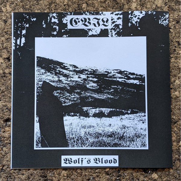 Drowning The Light - A Reflection Of The Past / Where The Sun Was Never Born (VINYL + 7") | Near Mint (NM or M-)-Music History