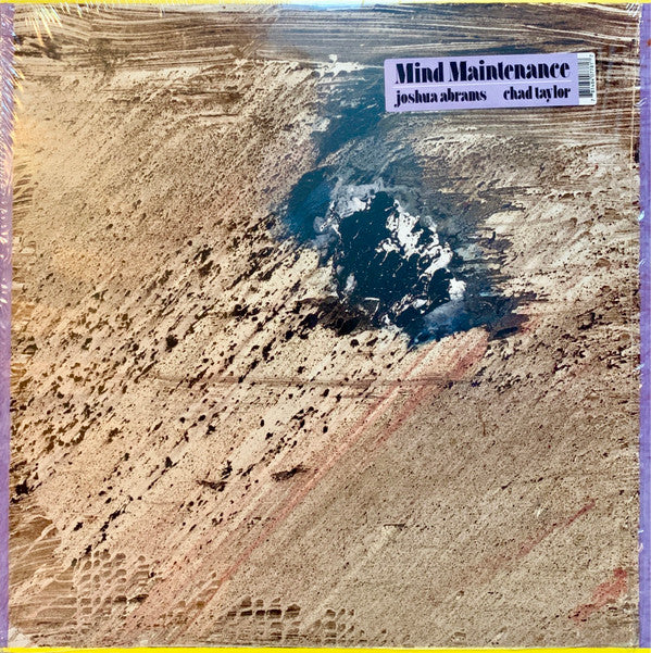 Mind Maintenance - Mind Maintenance | Mint (M) Mint (M)--Music History