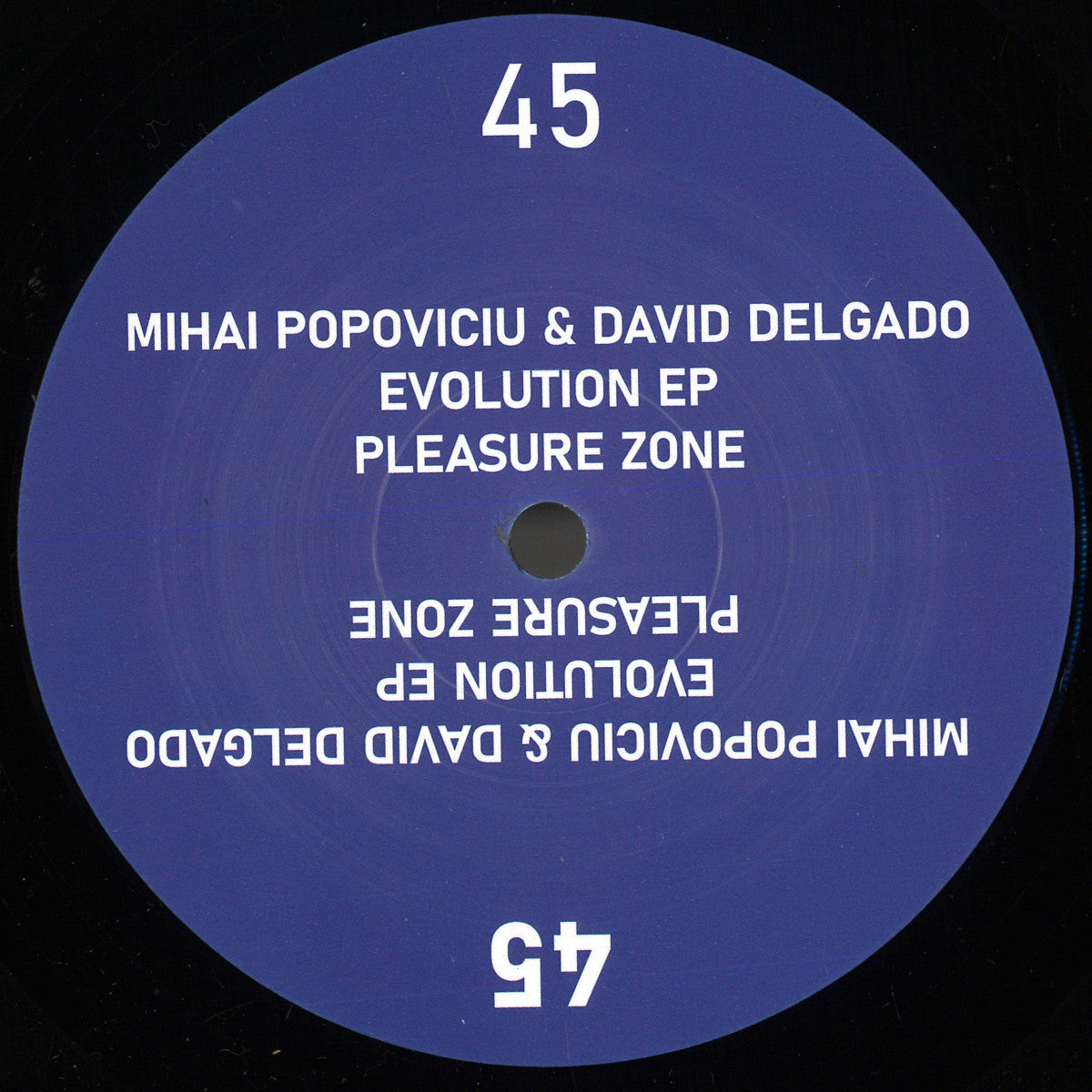 Mihai Popoviciu & David Delgado - Evolution (VINYL 12" Pleasure Zone PLZ045 2025) | NEW-Music History
