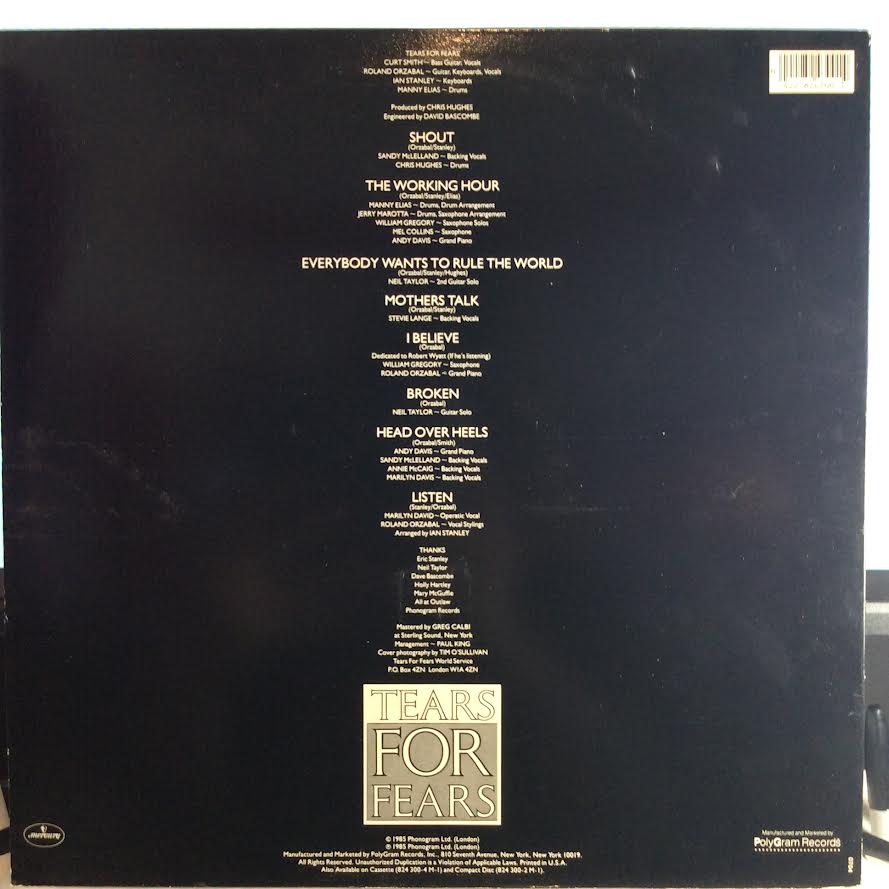 Tears For Fears - Songs From The Big Chair (VINYL) | Near Mint (NM) Near Mint (NM)-Music History