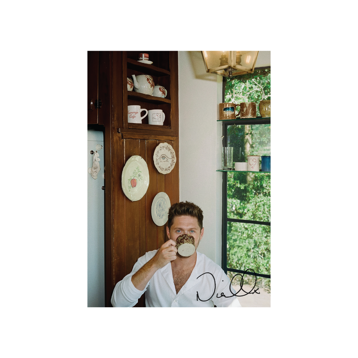 Niall Horan - Dinner Party (SIGNED INSERT PORCELAIN VINYL) | Mint (M) Mint (M)-Music History
