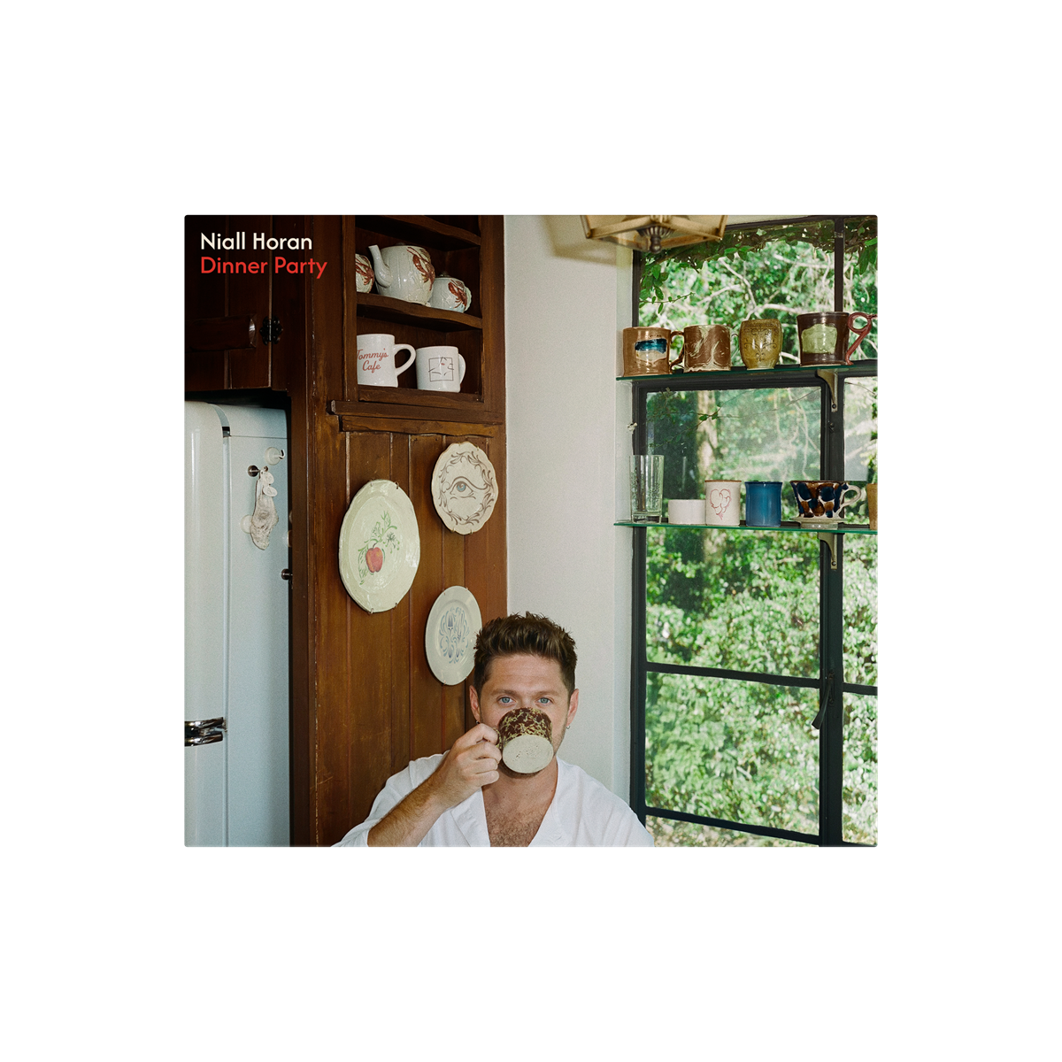 Niall Horan - Dinner Party (SIGNED INSERT PORCELAIN VINYL) | Mint (M) Mint (M)-Music History