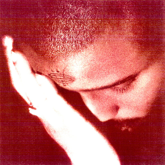 Nourished by Time - The Passionate Ones (Vinyl) | Mint (M) Mint (M)-Music History