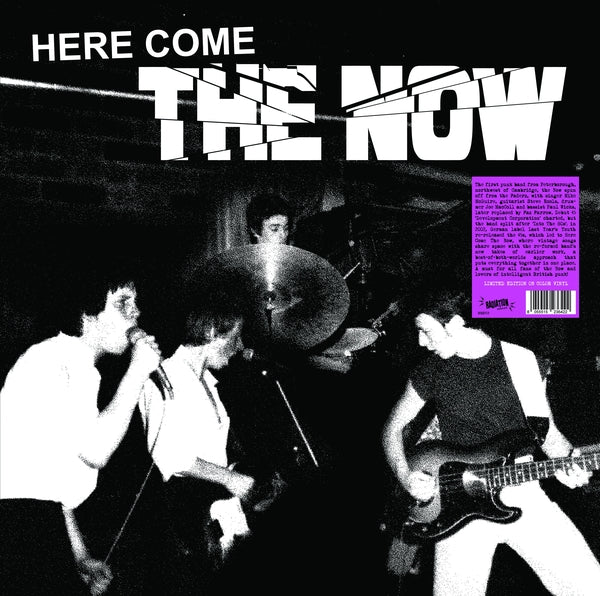 Now - Here Come The Now (Color Vinyl LP) | Mint (M) Mint (M)-Music History